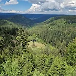 Nordschwarzwald Apartment *