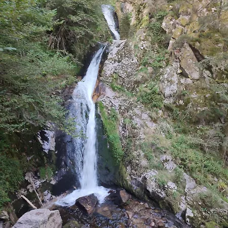 Apartamento Nordschwarzwald Freudenstadt