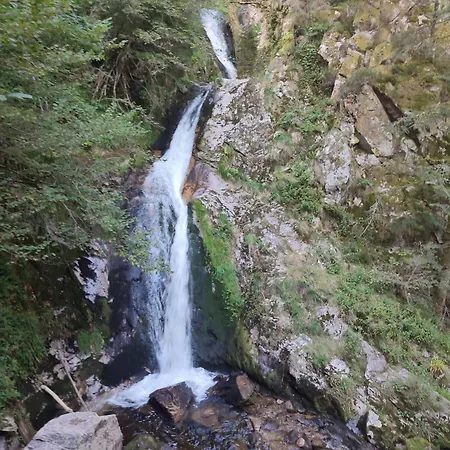 Nordschwarzwald *