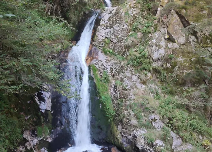 Daire Nordschwarzwald Freudenstadt