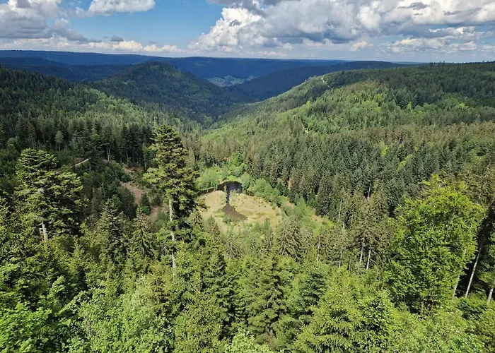 Nordschwarzwald Daire *